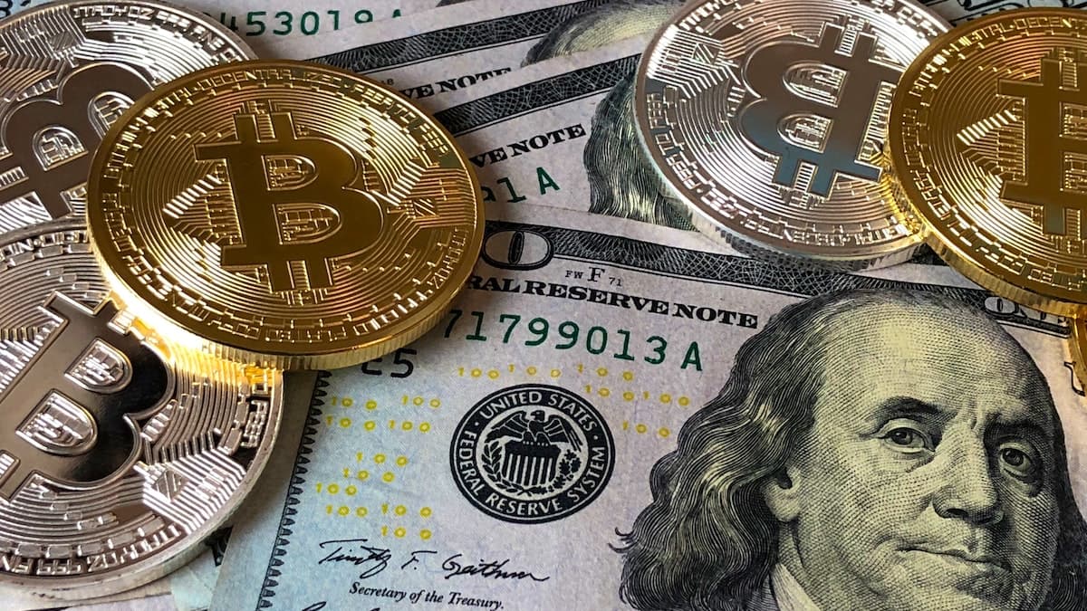 Guia de Investimentos para Iniciantes