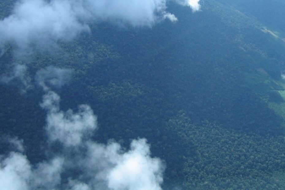 imagem aerea de santarem coleta de carbono luciana gatti divulgacao