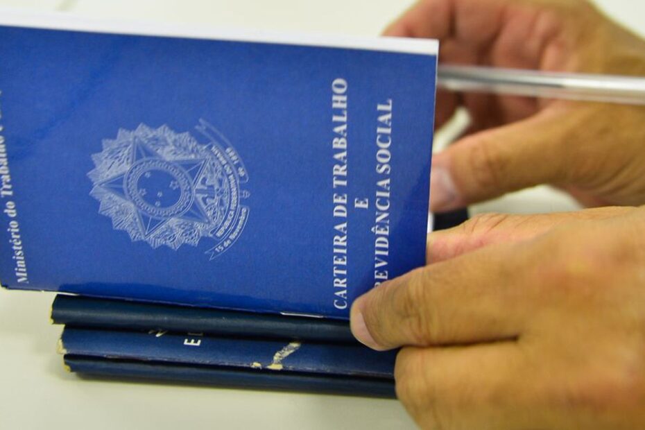 carteira de trabalho e previdencia social ctps