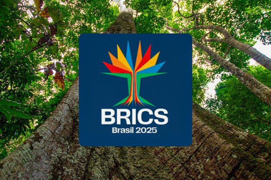 identidade visual do brics brasil