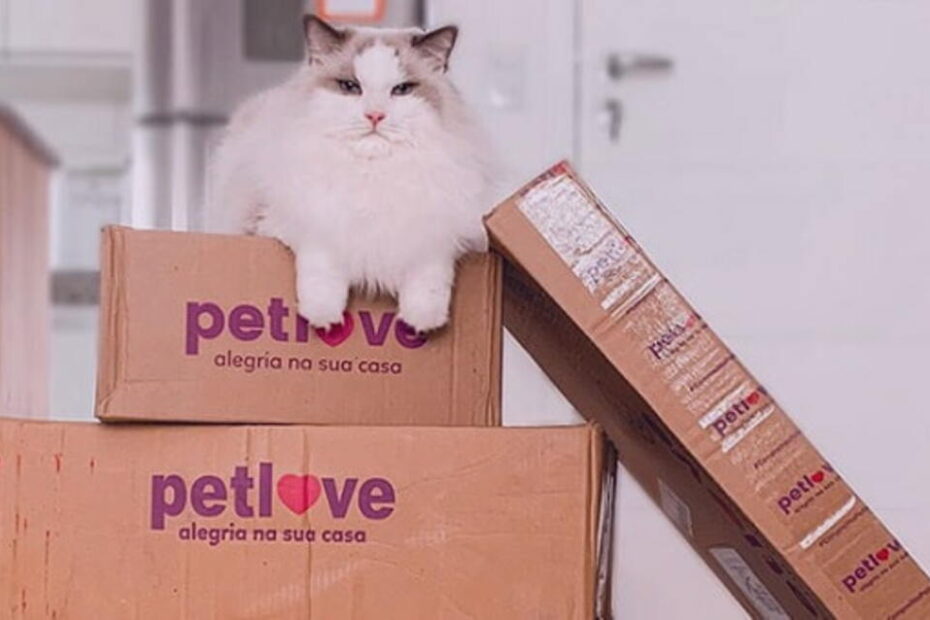 petlove 1