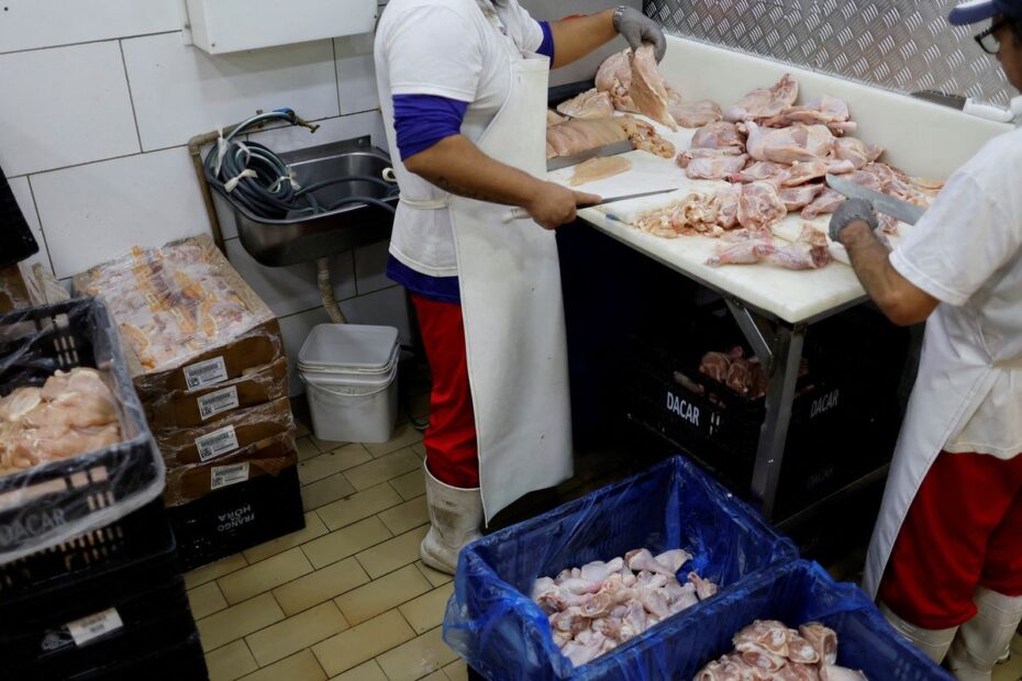 2025 05 20t162219z 613522924 rc2oleasl1zu rtrmadp 3 health bird flu brazil 0