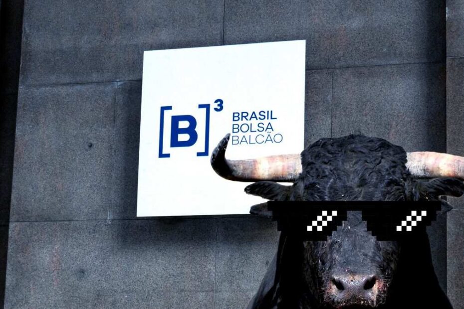 B3 bolsa Ibovespa bull market touro
