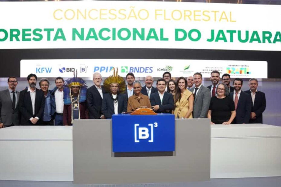 Leilao floresta