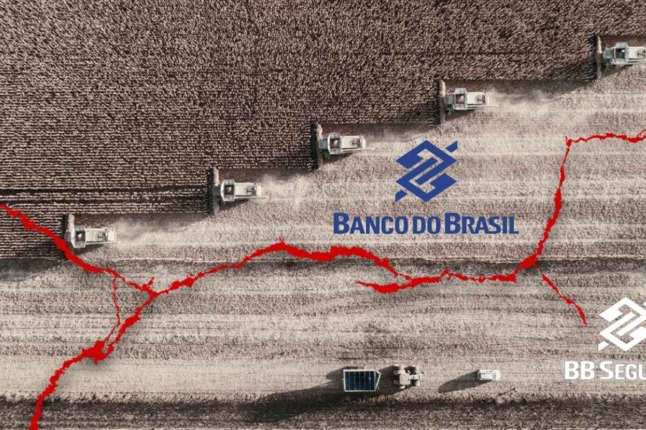 agronegocio bbse bancodobrasil planosafra
