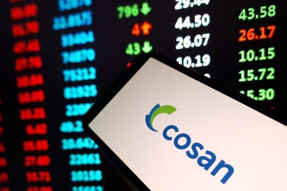 cosan csan3 vale vale3