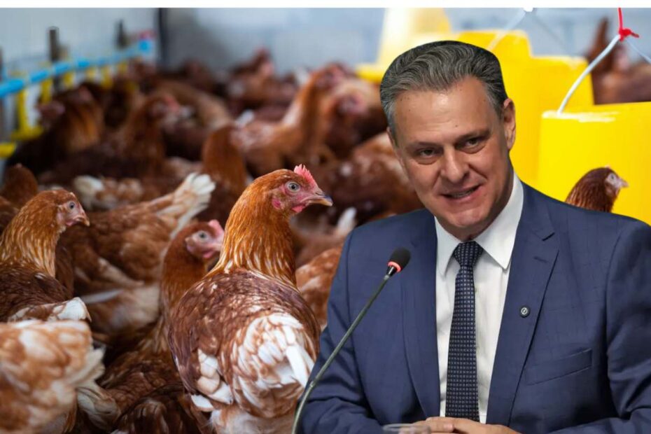 gripe aviaria brasil ministro carlos favaro