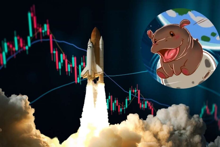 memecoins moo deng criptomoedas rali alta