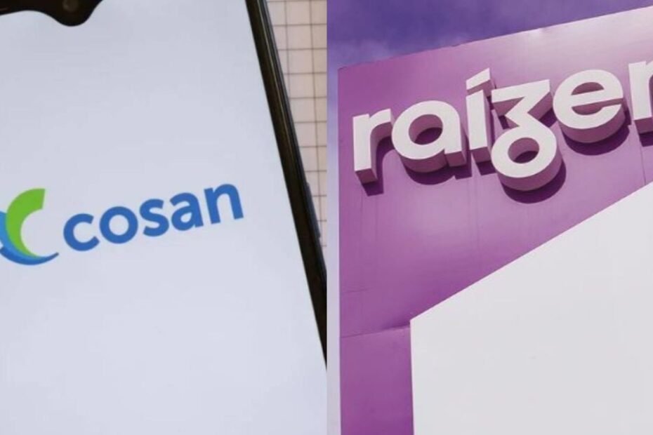 raizen cosan