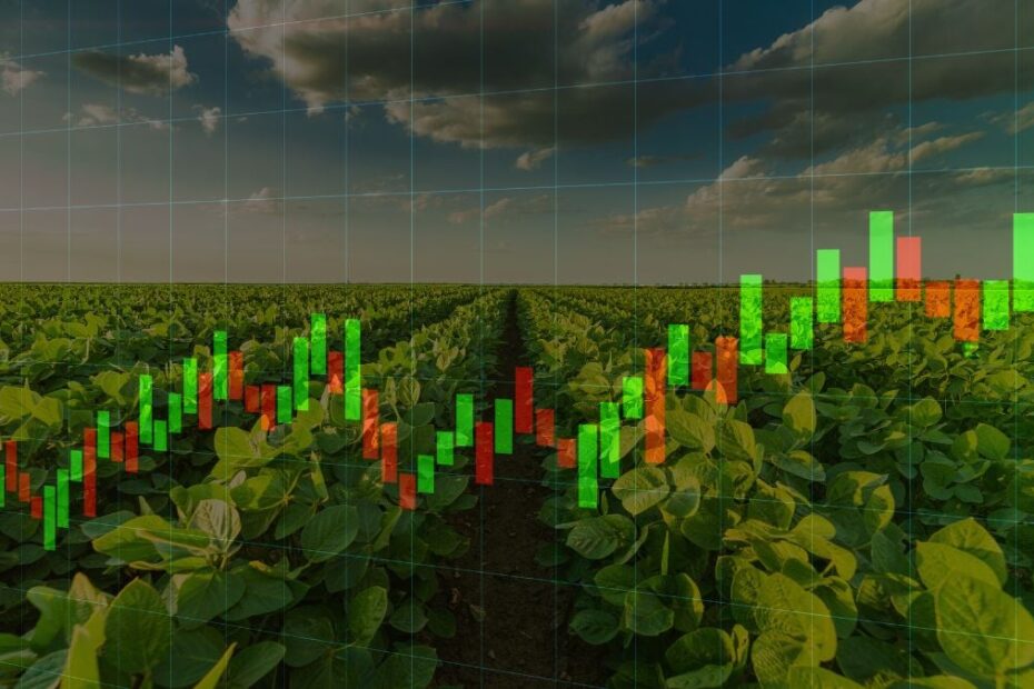 Fiagro da Itau Asset RURA11 agronegocio CRA. Foto Canva ProMontagem Seu Dinheiro