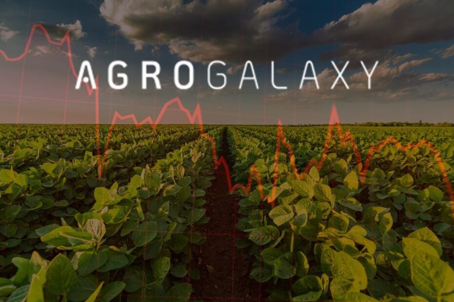 Fiagros expostos a AgroGalaxy. Foto Canva ProReproducaoMontagem Seu Dinheiro