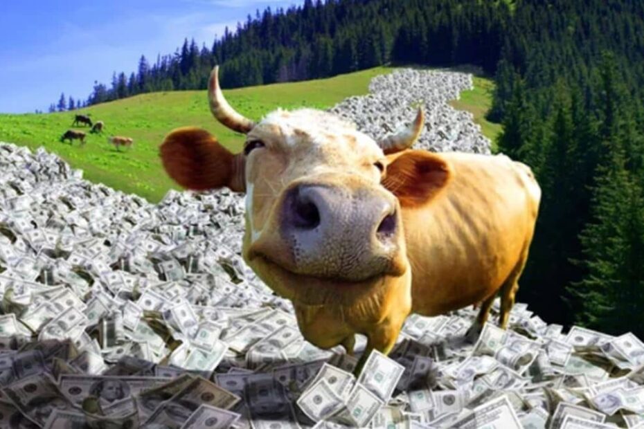 acao dividendos vaca leiteira