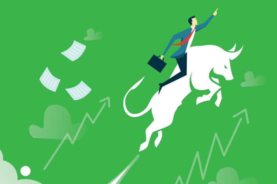 bull market bolsa ibovespa