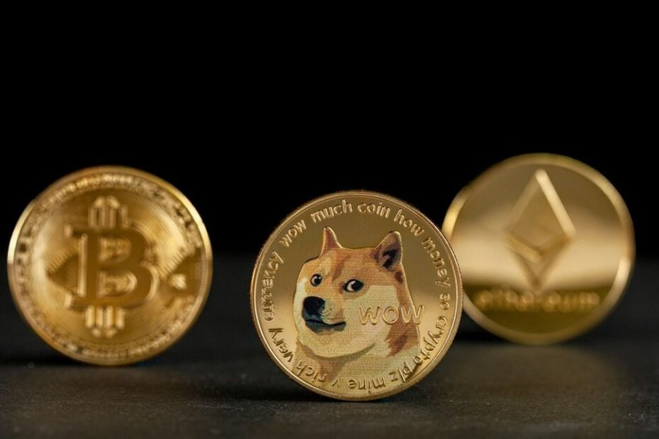 doge coin SD