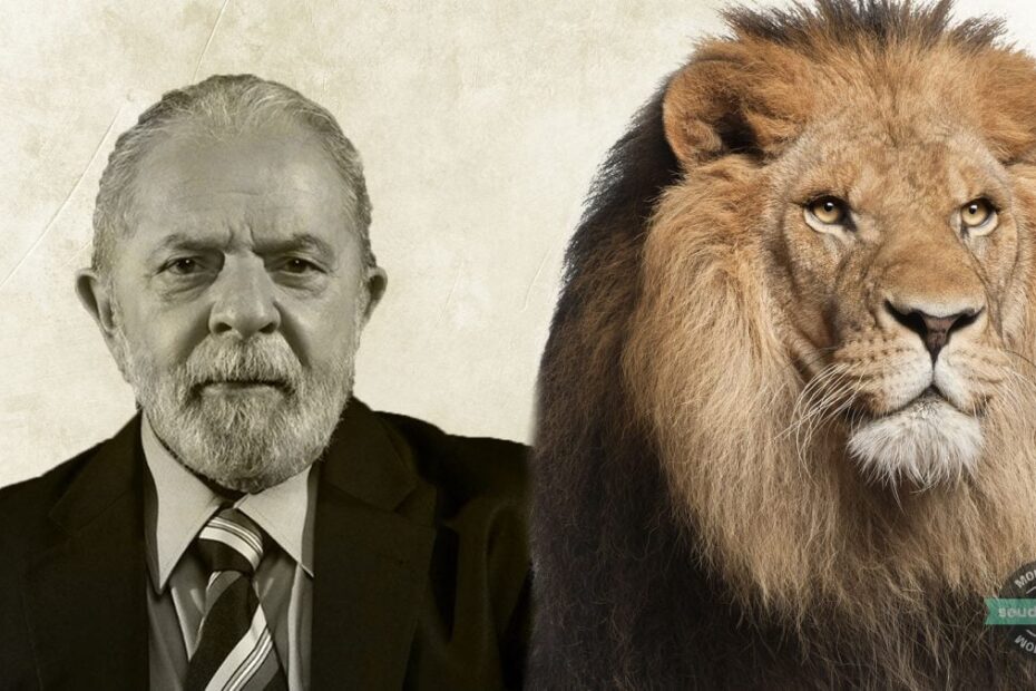 lula leao 2 Shutterstock Luisa Dorr TIME montagem Brenda Silva e1708428983741