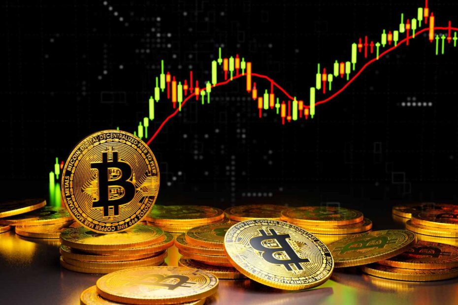sd criptomoedas day trade copy trade