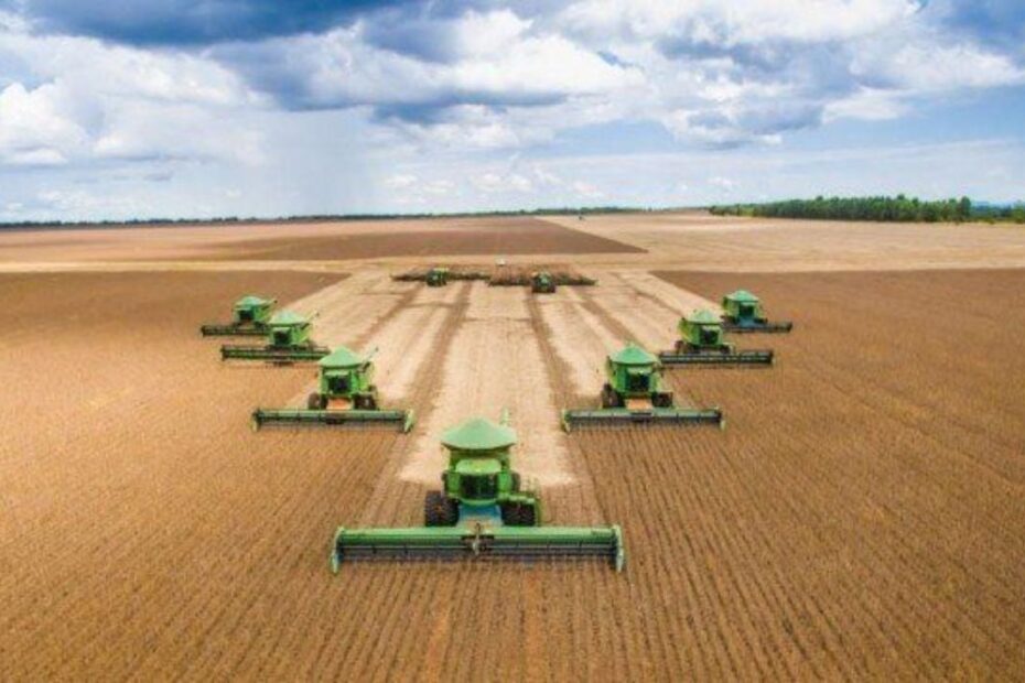slc agricola acoes dividendos