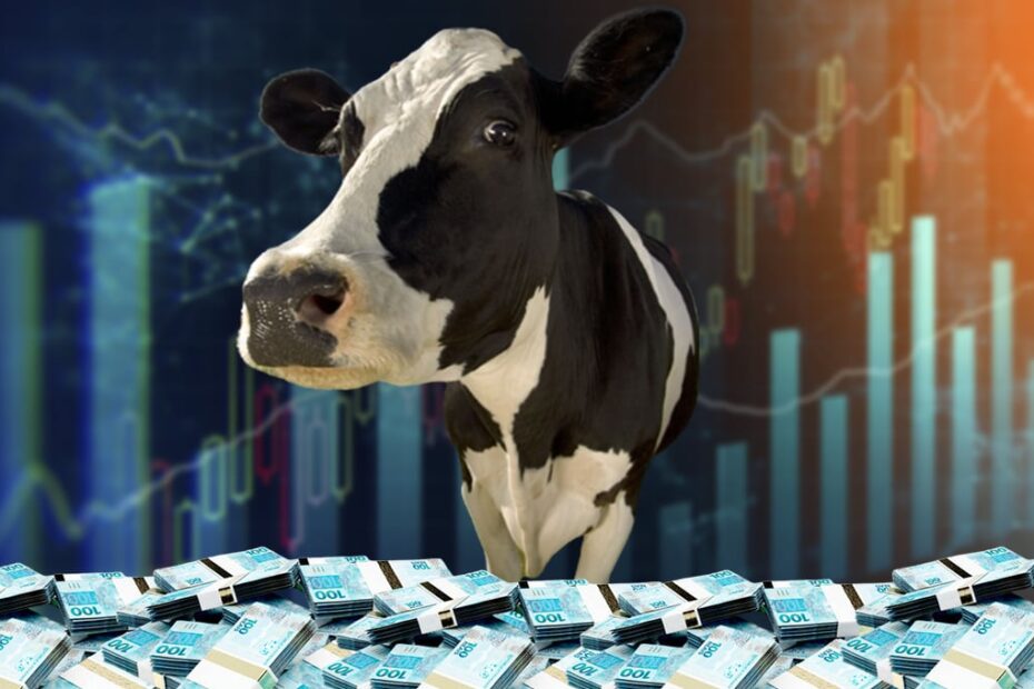 vaca leiteira dividendos