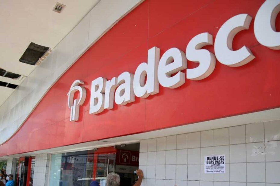 1753986256 bradesco dividendos