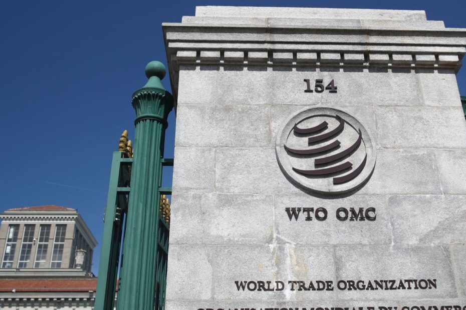 2020 06 23t115439z 1 lynxmpeg5m11n rtroptp 4 trade wto
