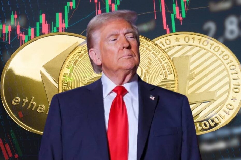 DESIGNS LEONARDO 2024 11 12T145329.139