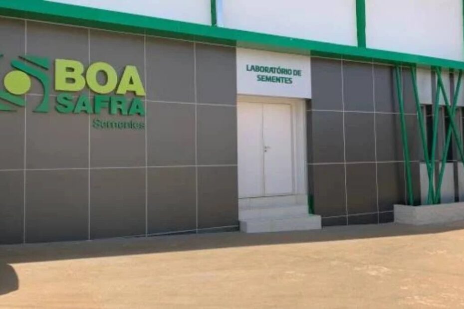 boa safra soja3