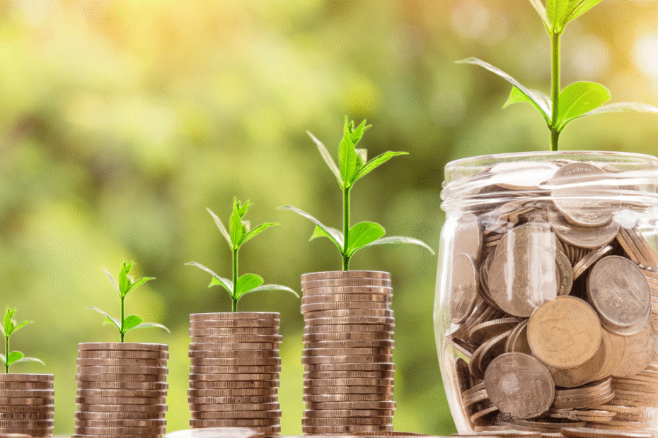 dividendos imagem canvanattanan23 de pixabay