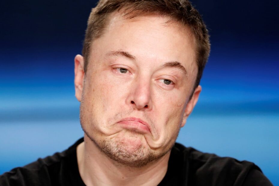 elon musk fortuna