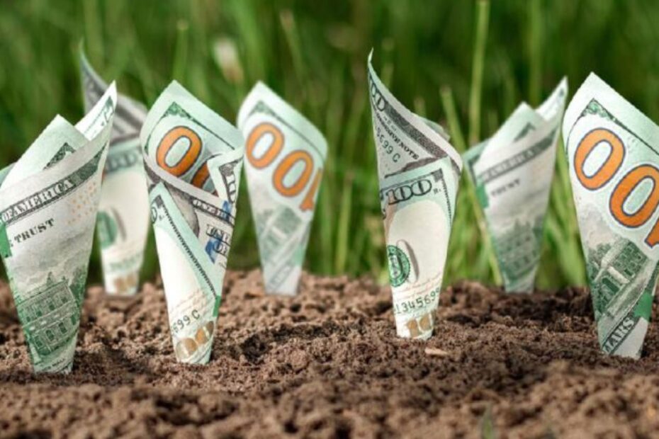 fiagros dividendos 3