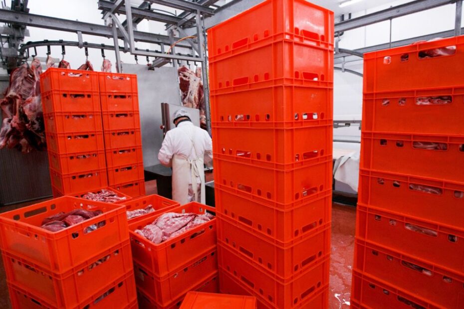 frigorificos minerva jbs