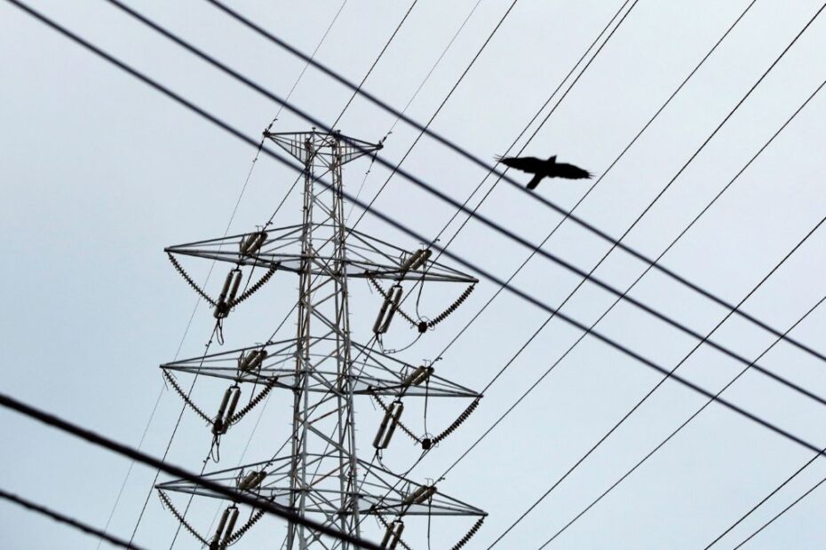 governo federal descontingenciamento