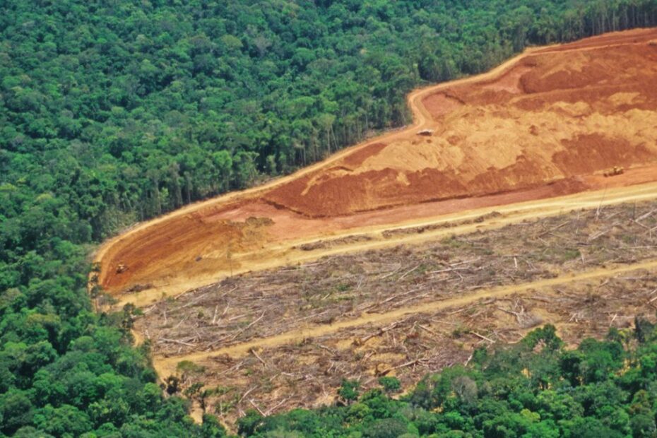 pl da devastacao licenciamento ambiental