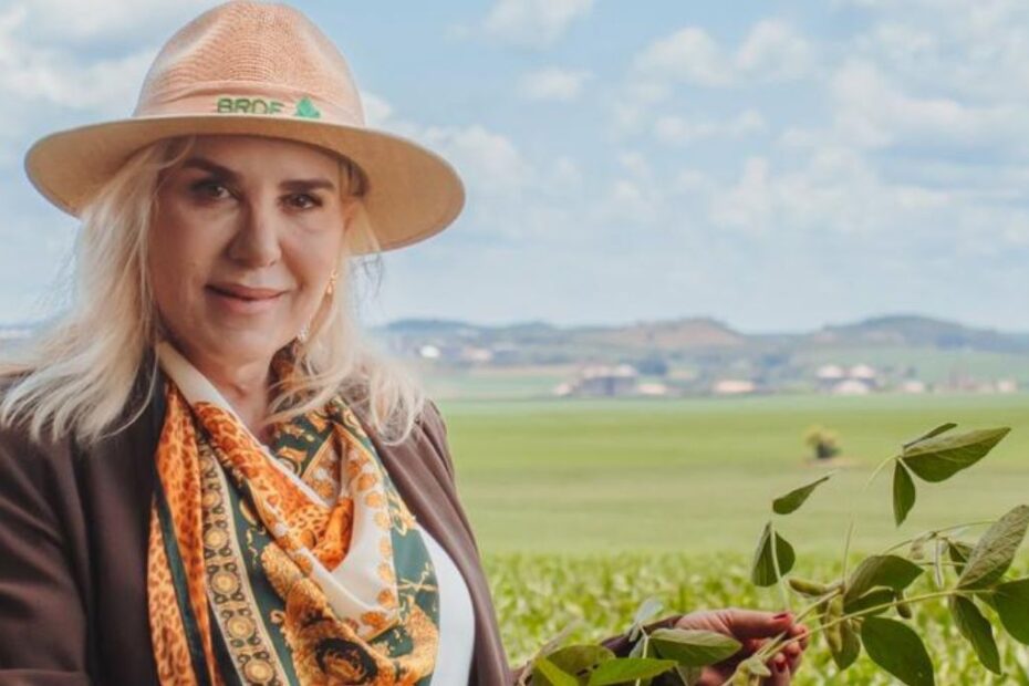 plano safra recuperacoes judiciais dora zanin