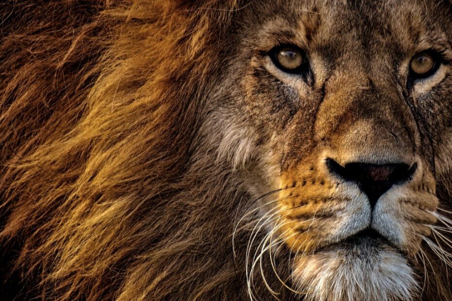 restituicao imposto de renda 2025 3o lote 1