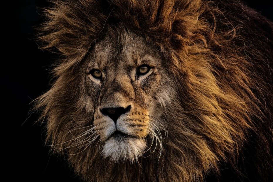 restituicao imposto de renda 2025