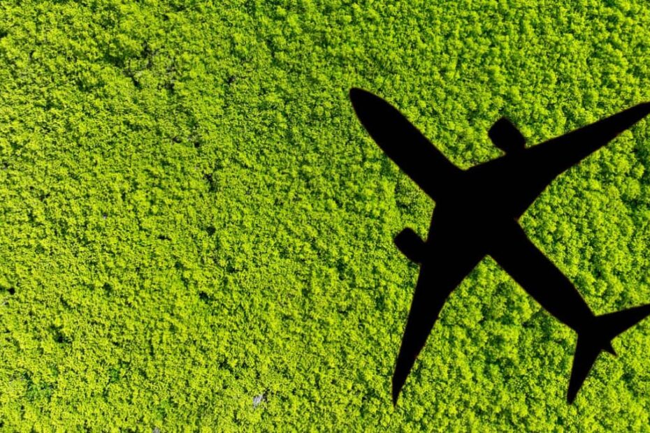 saf raizen biocombustiveis aviacao 1