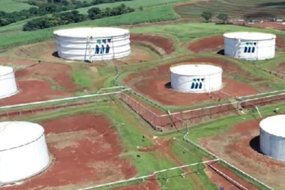 sao martinho smto3 1