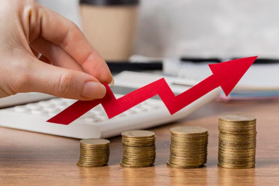 selic acao seguradora dividendos