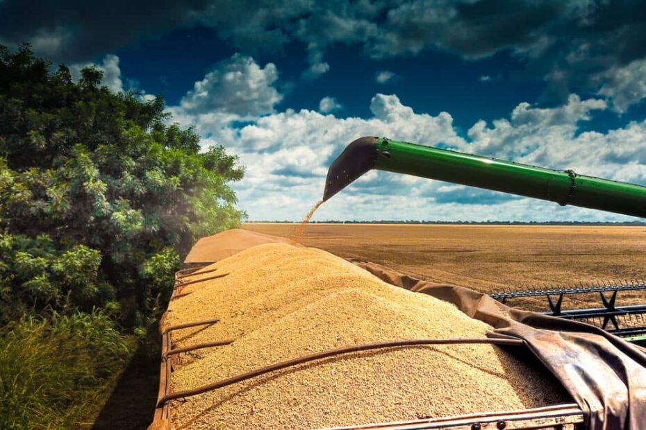 soja chicago graos precos 1