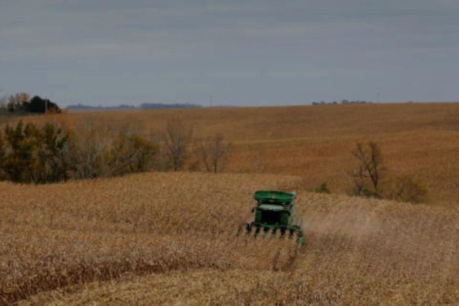 soja milho trigo graos commodities