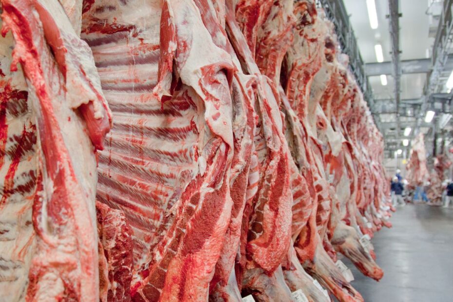 carne2