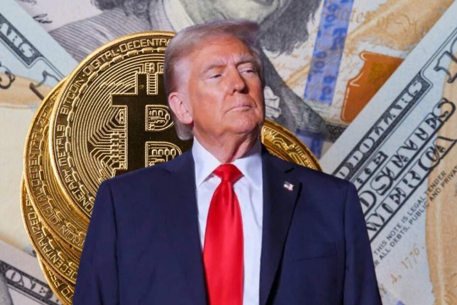 designs leonardo 2025 01 23t093649.213