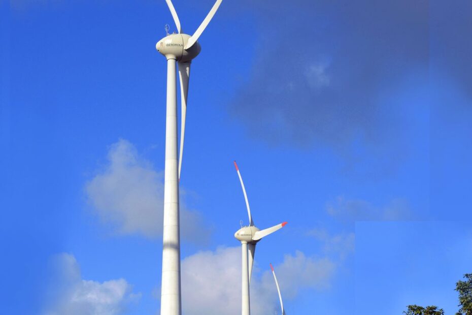 48800101197 0167506bea o