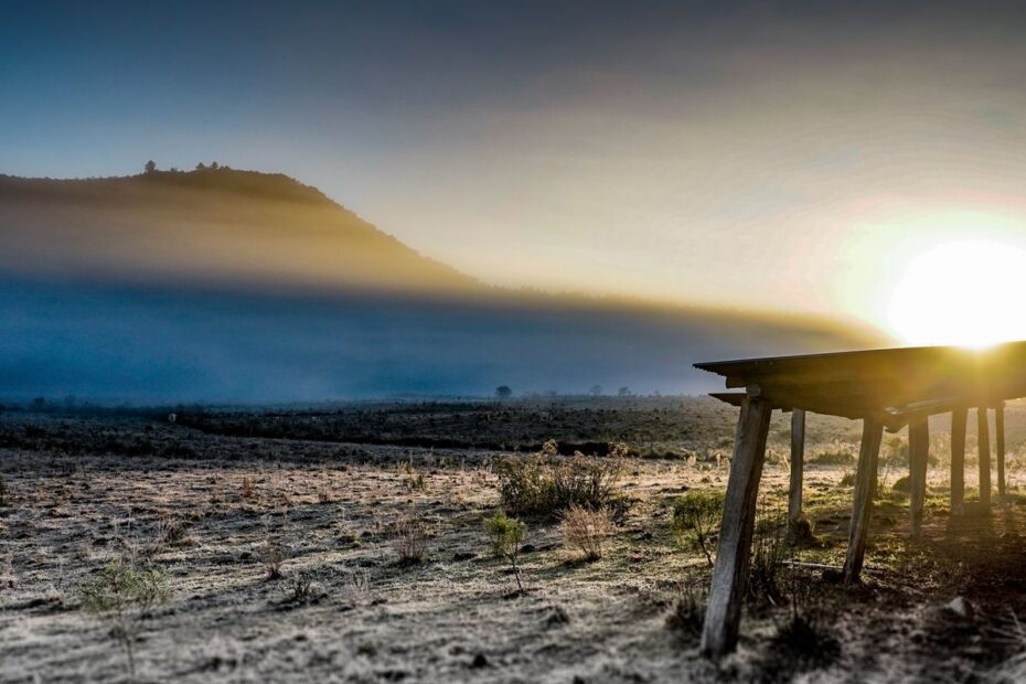 49968398347 b6b879dc32 o