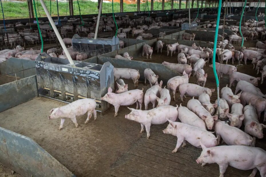 50023435941 61ccc22f6a o