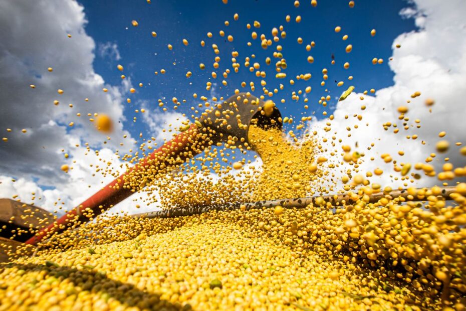 50926862498 639e8931b8 o