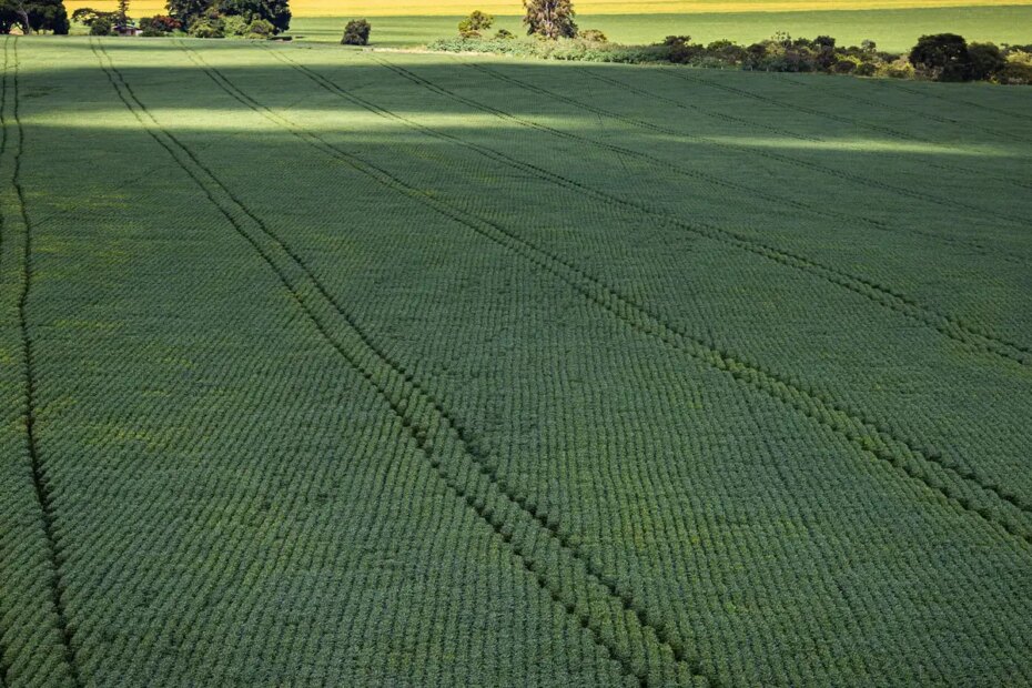 50927545386 dc142e1f64 k