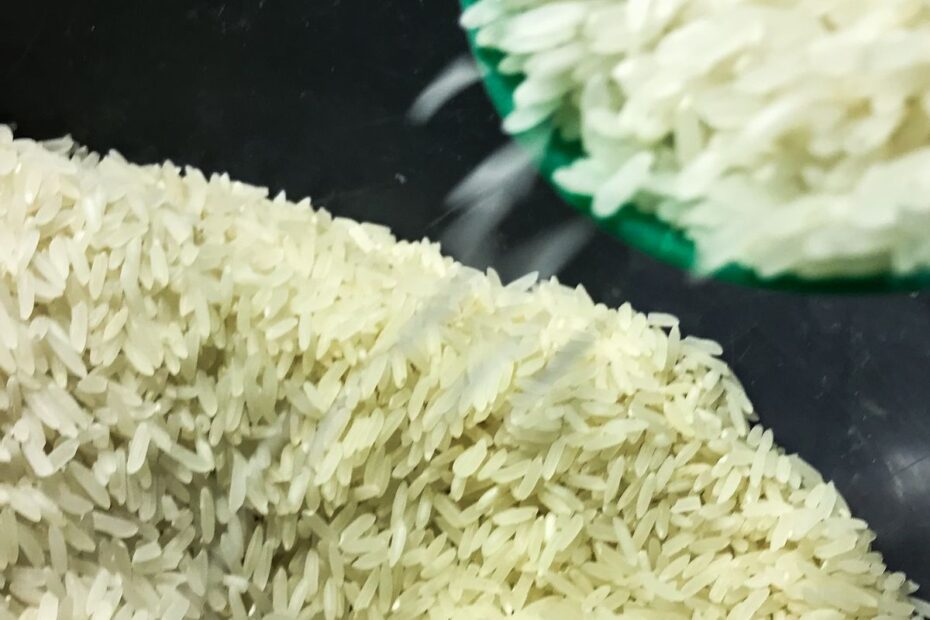 arroz 1009201522