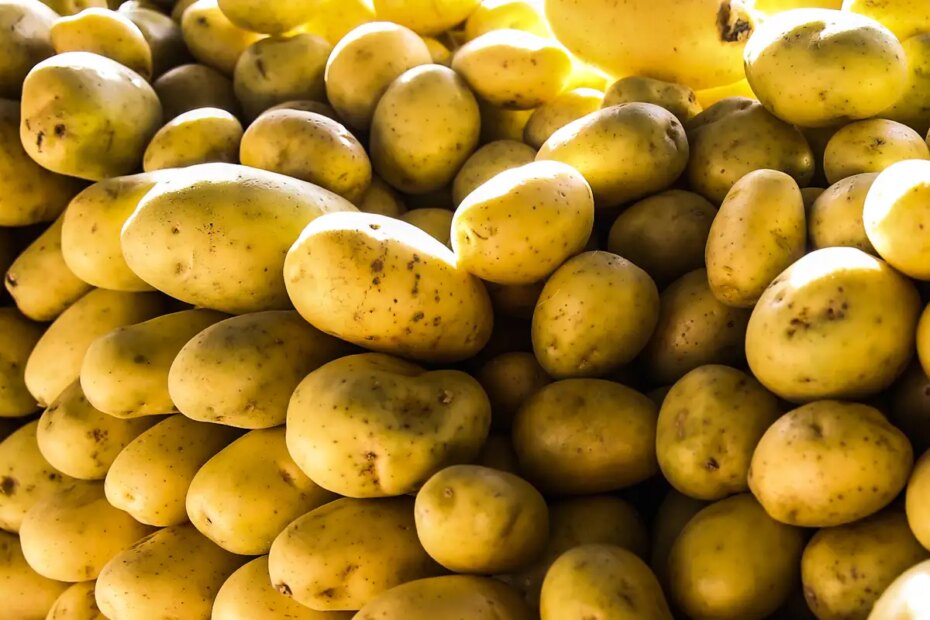 banco de imagens vac abr 2907221191