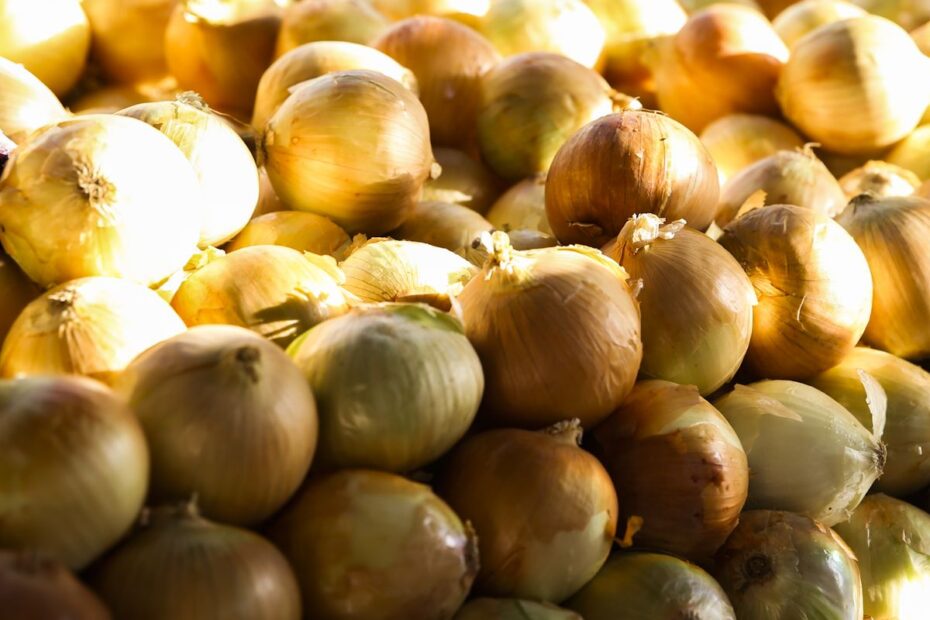 vac abr 20220729 0896